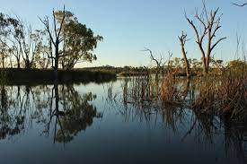 Three Riverland parks to clean up