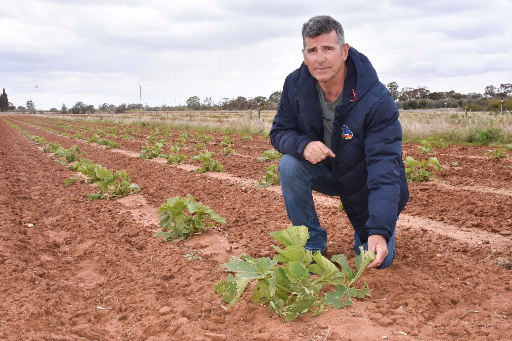 Growers pick up the pieces after storms