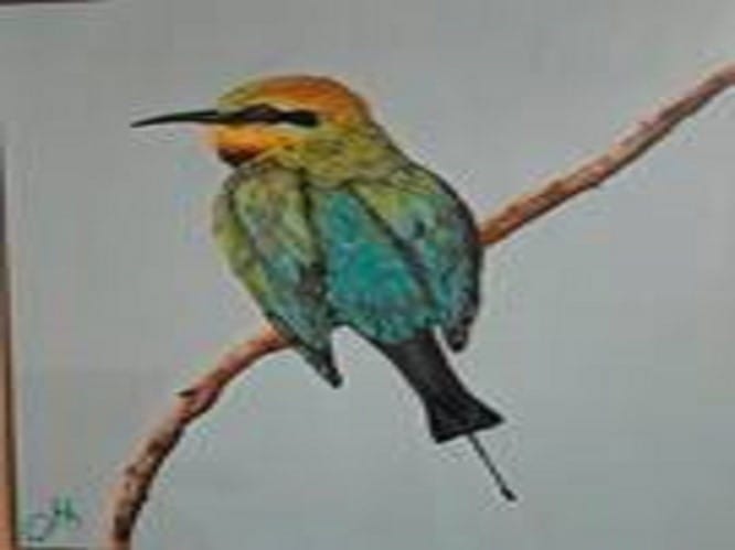 Wattle Range showcase at the Rain Moth