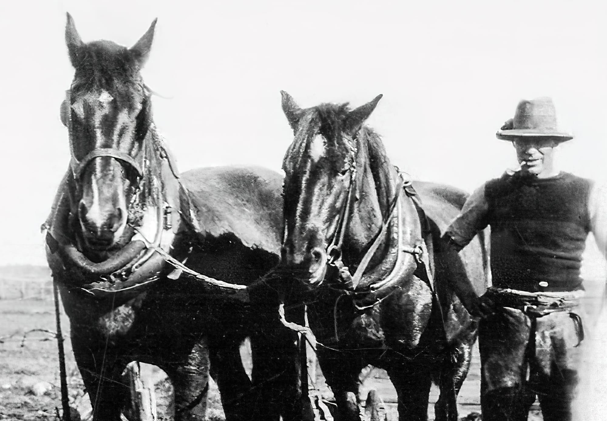 Monash’s WWI soldier settlers remembered