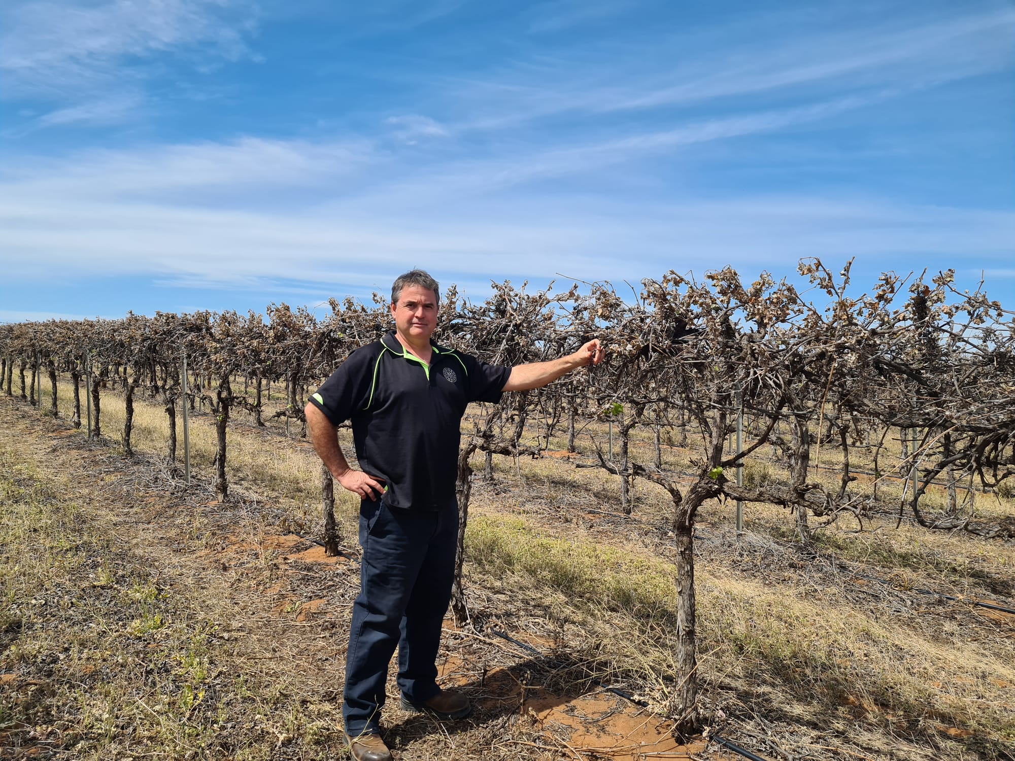 Assessment of frost damage begins