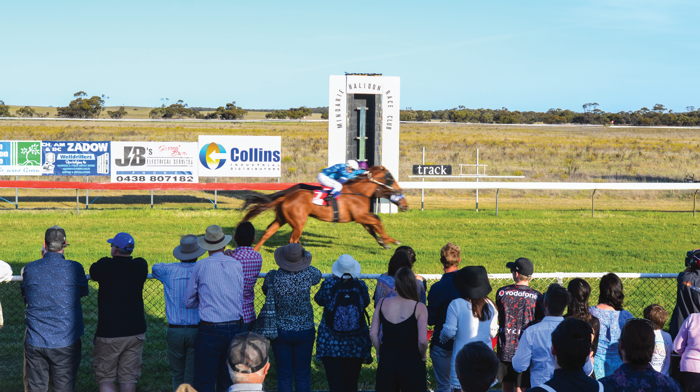 TREVOR NORTON: The last ever Melbourne Cup of the Mallee
