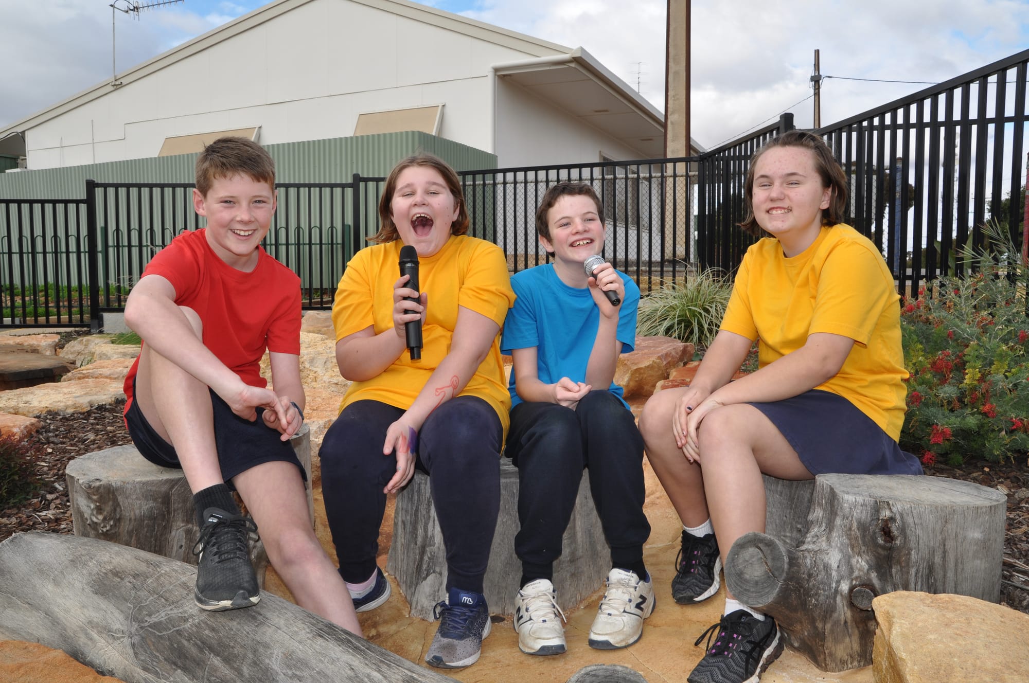 Schools' music festival cancelled