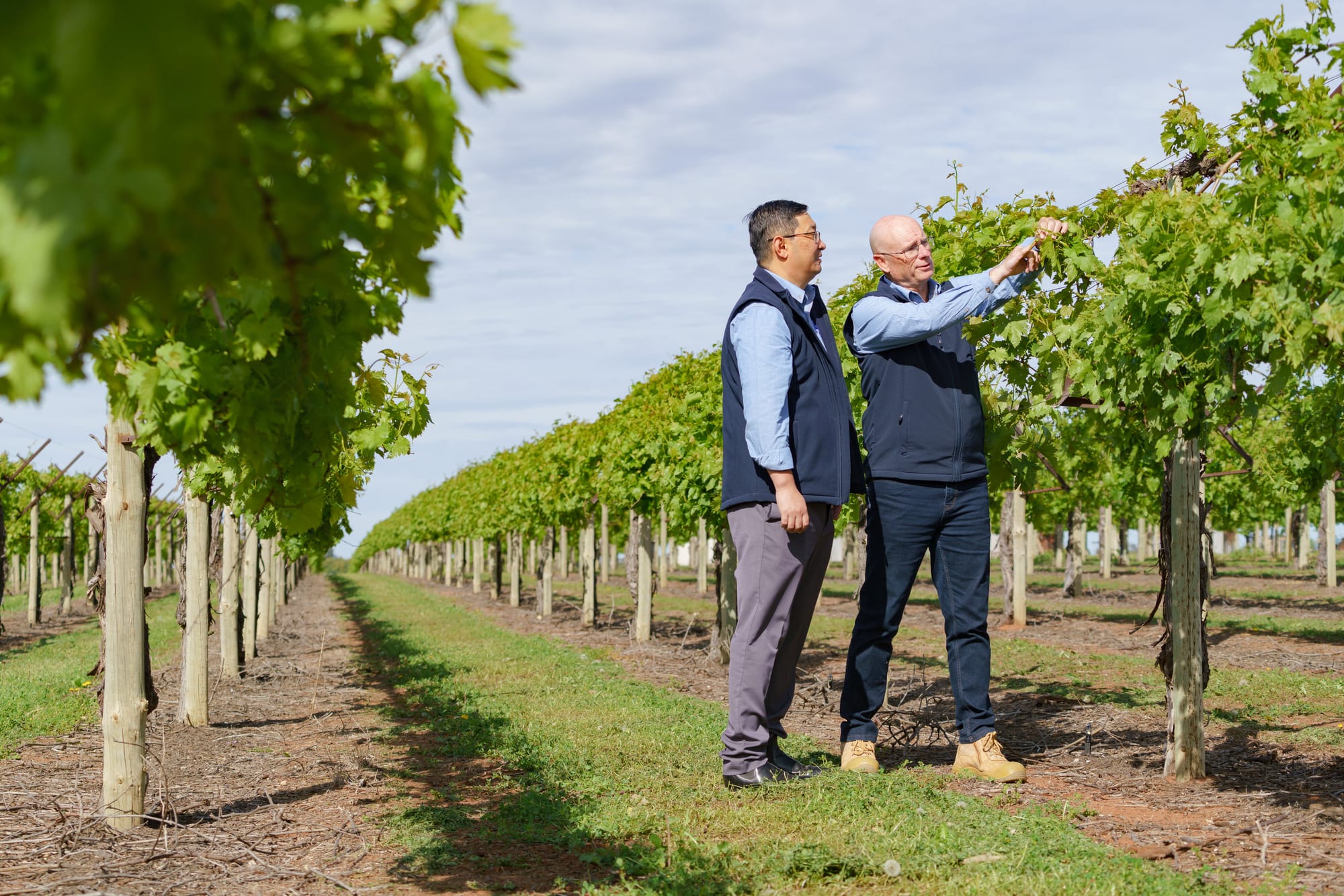 Dried fruits forum in Renmark this week