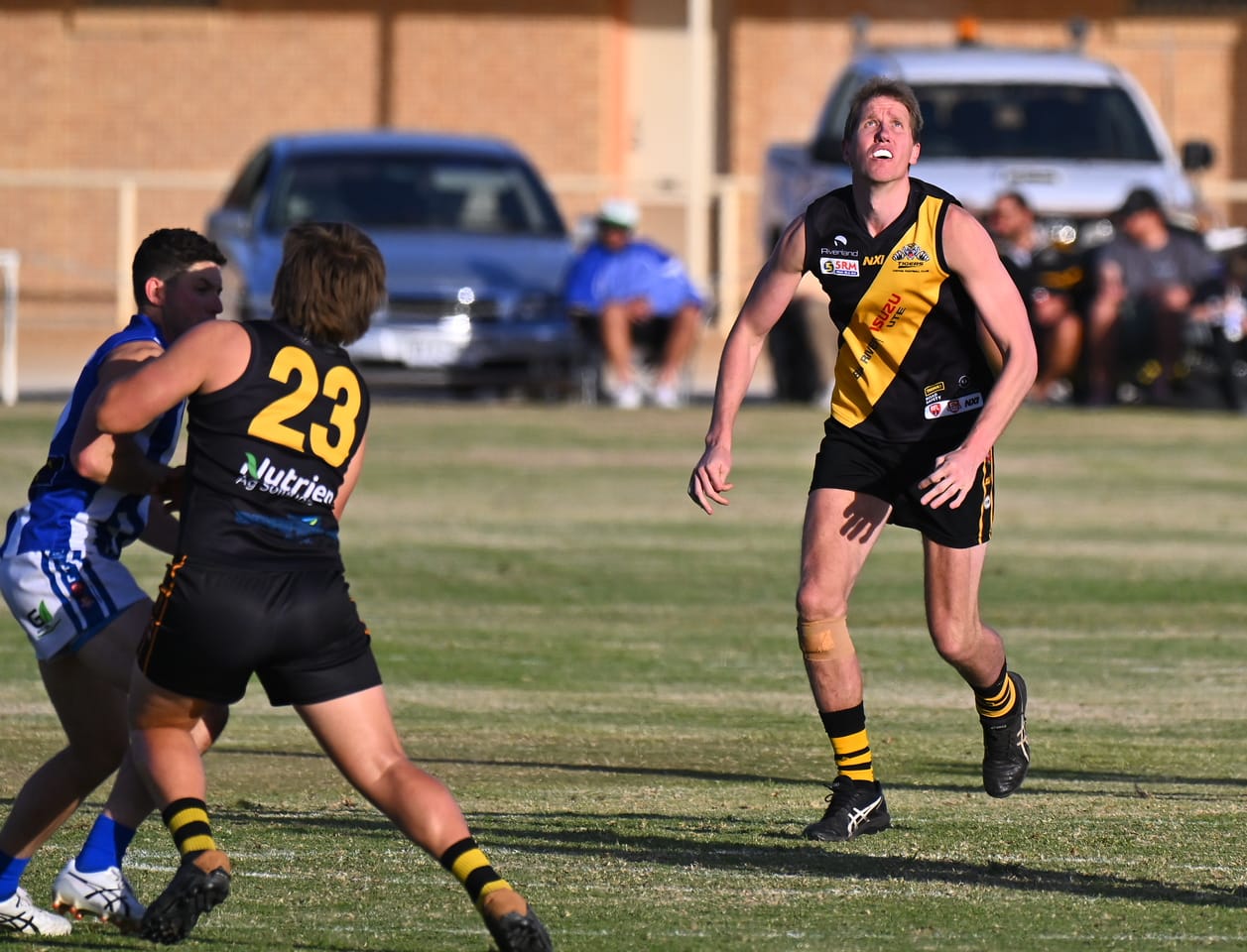 From Tigerland to the Parklands