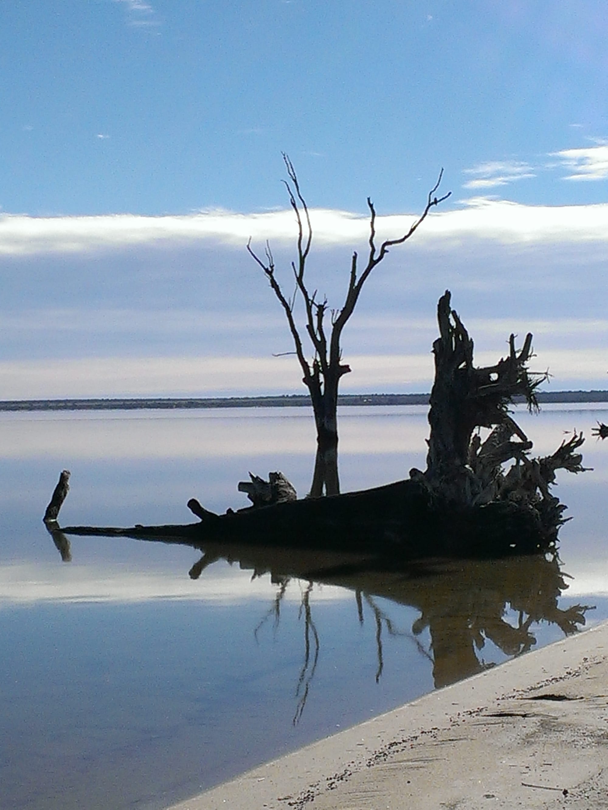Barmera Easter Twilight Market & Cinema