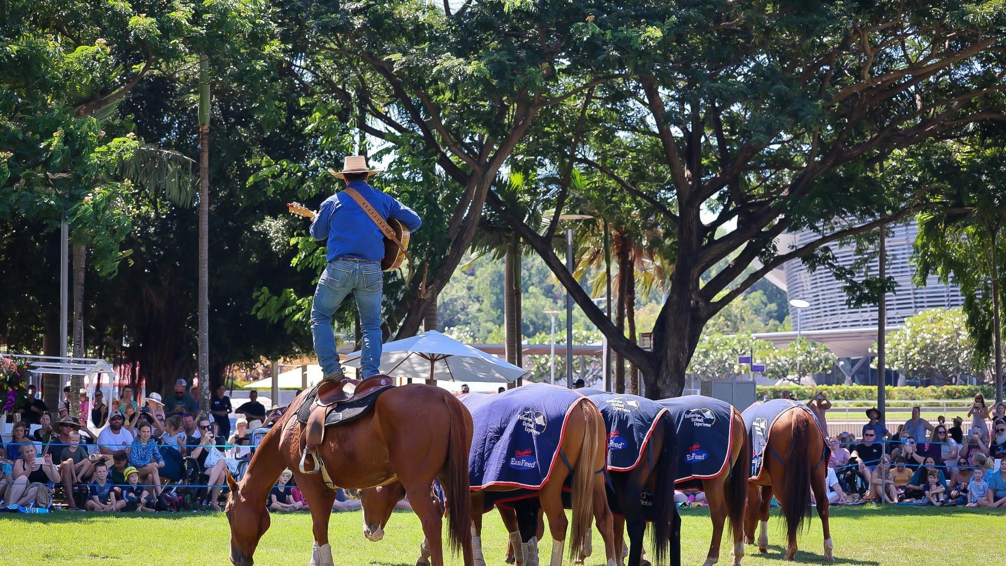 Tom Curtain's Katherine Outback Experience Show