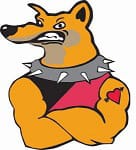 Superdogs take on Darwin masters trip