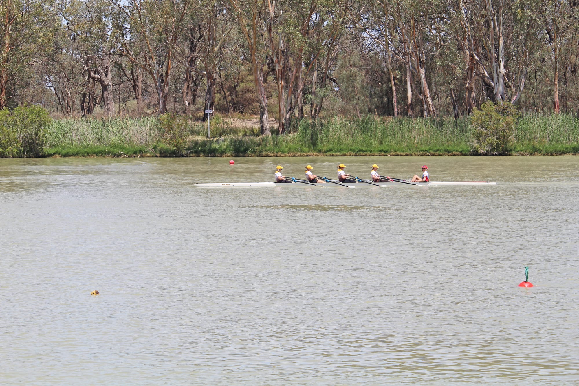 Riverland Regatta an oar-some success