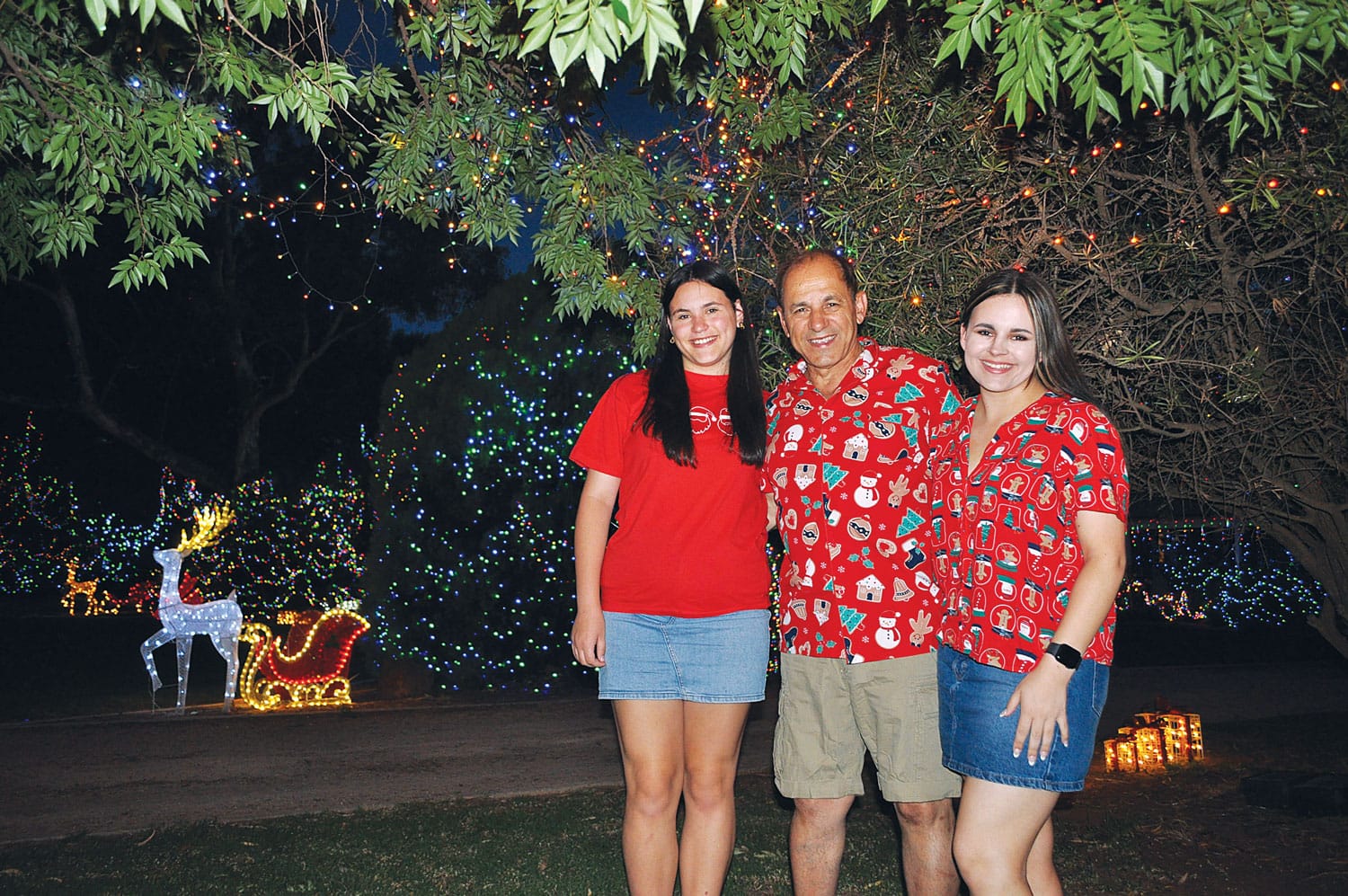 Coloured Xmas lights winners