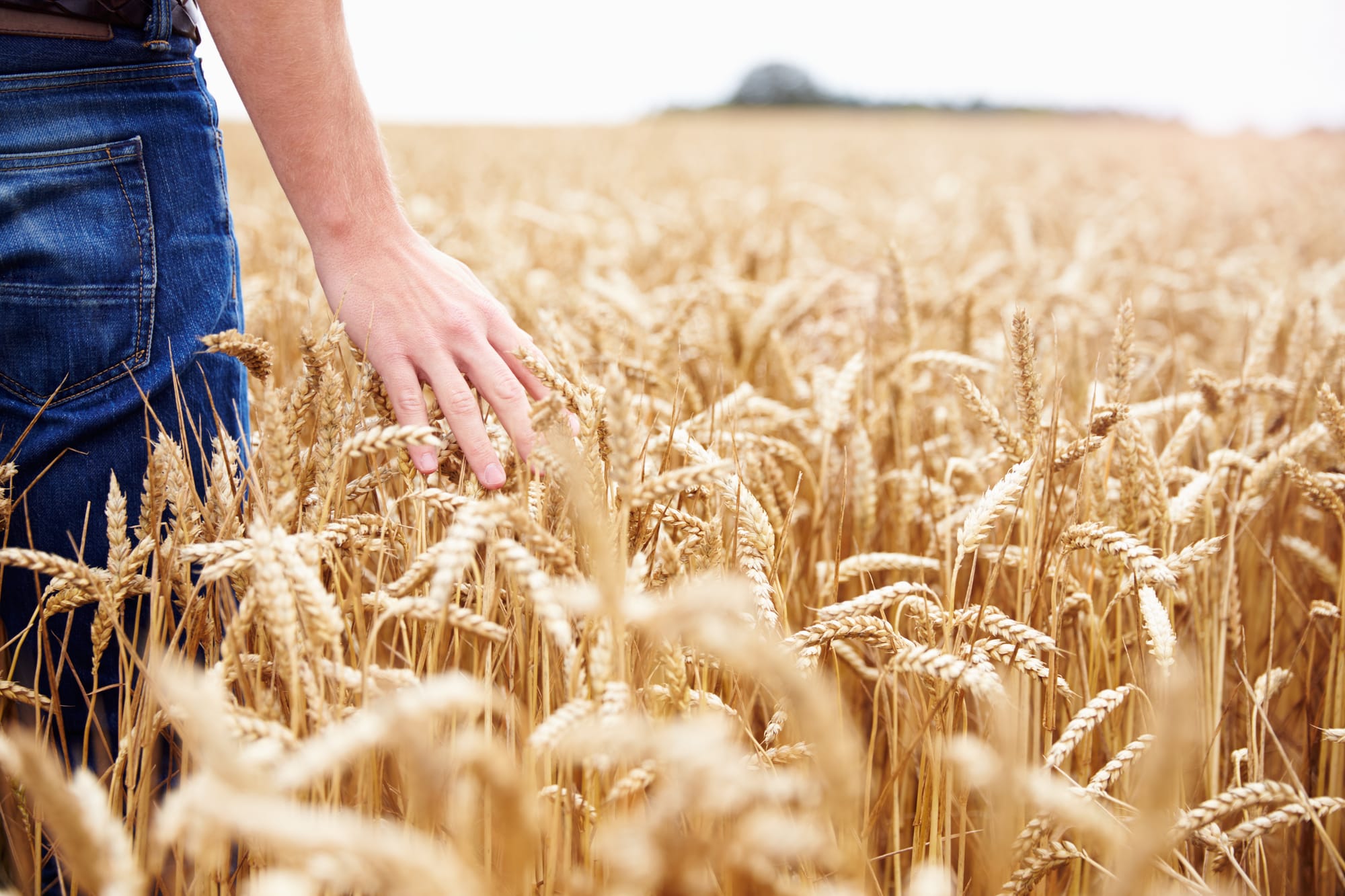 Rural health boost as national program expands into Riverland