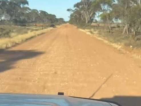 No up-grade for Dog of a road