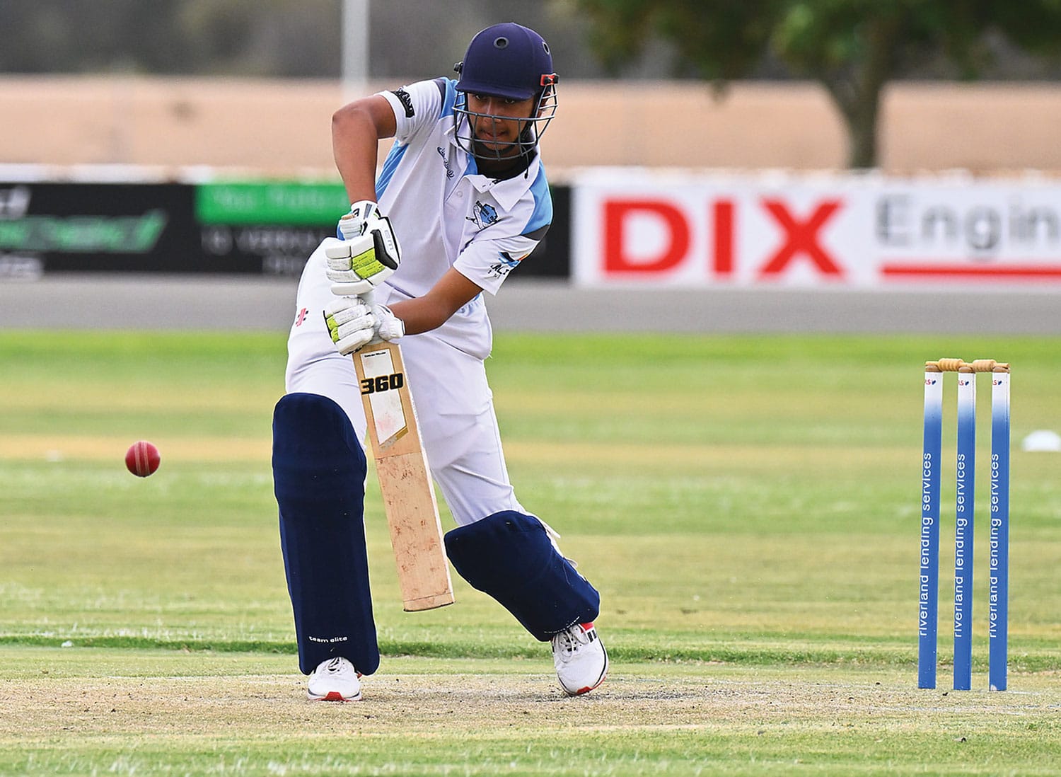 Tiger cubs continue winning form