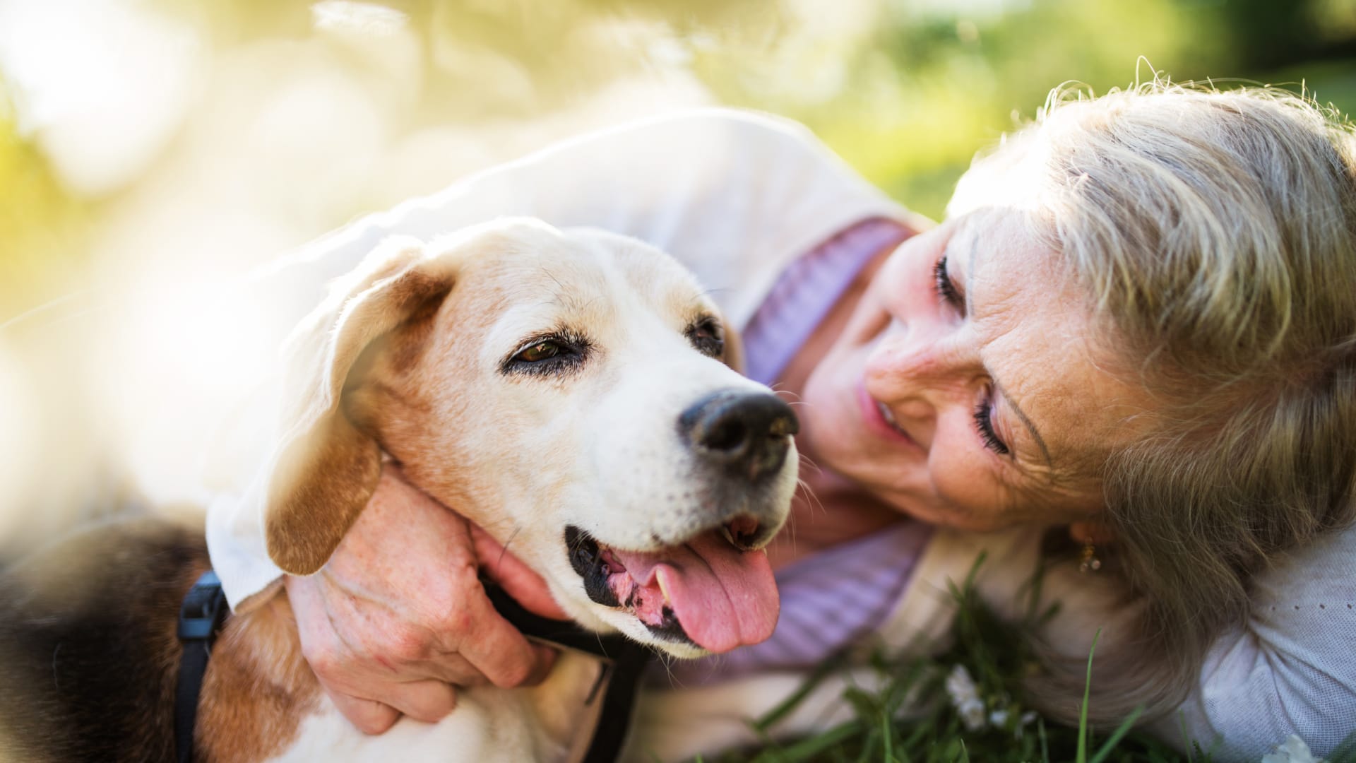 Pet owners urged to think for summer temperatures