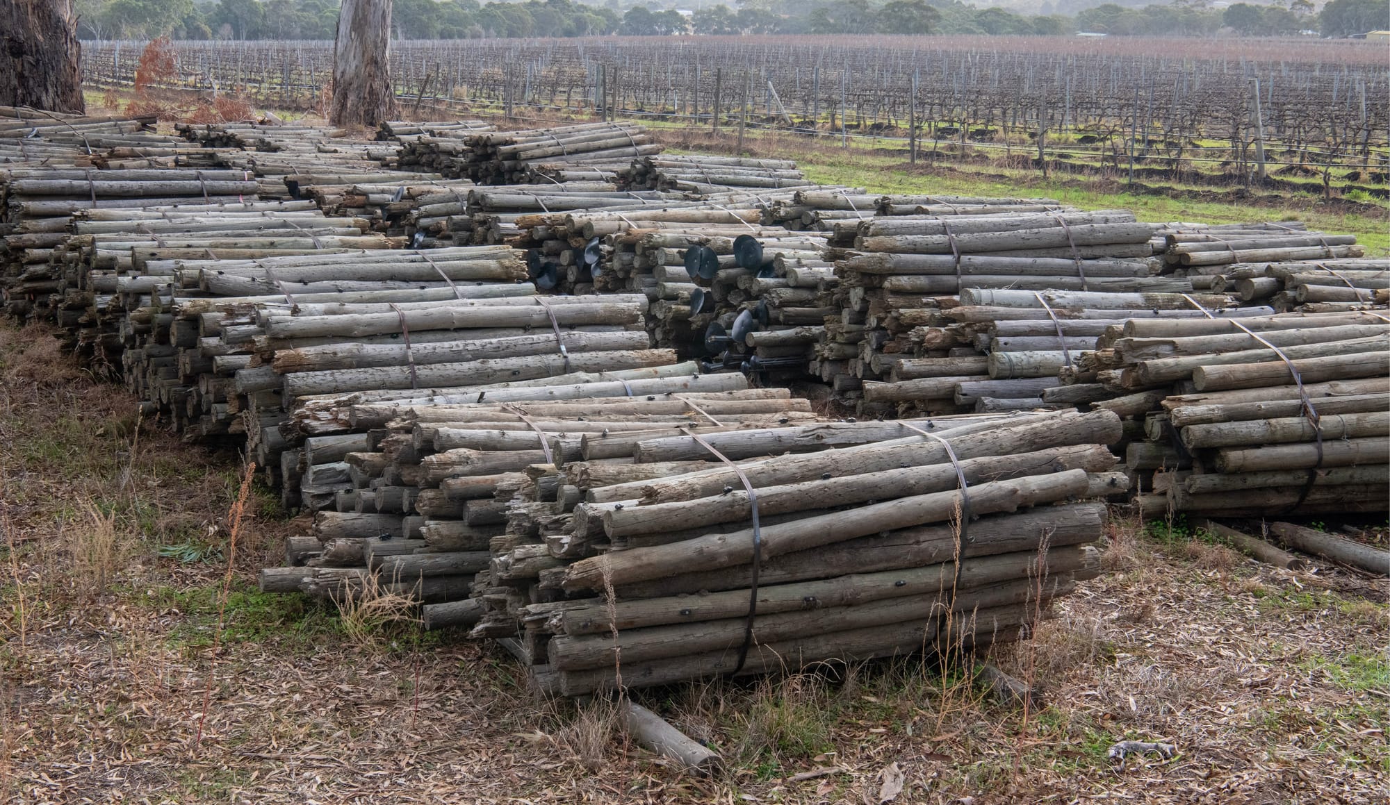 Vineyard post removal funding ‘not enough’