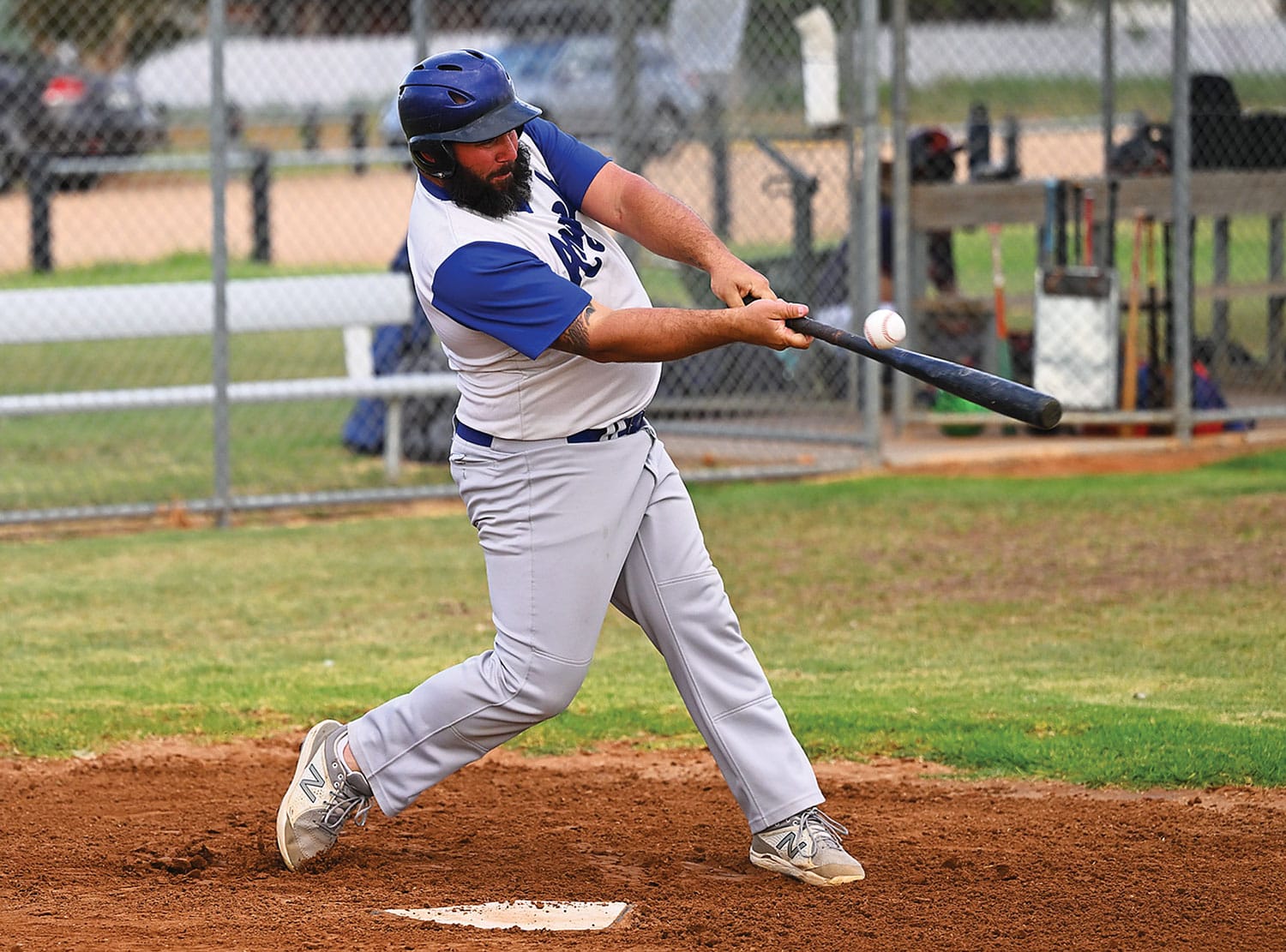 Tregeagle guides Renmark White under the lights