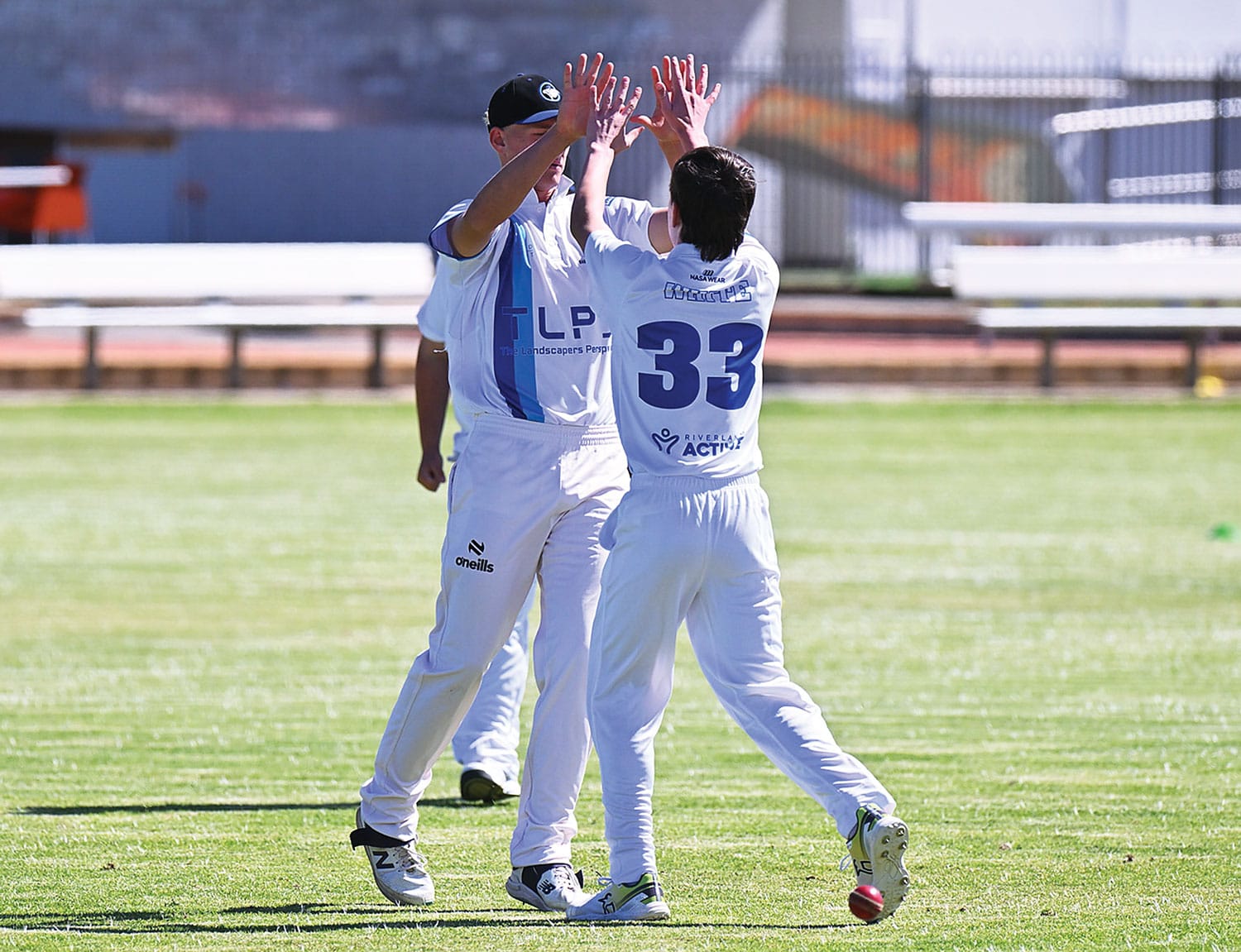 Pelicans soar past Bluetongues following big away victory