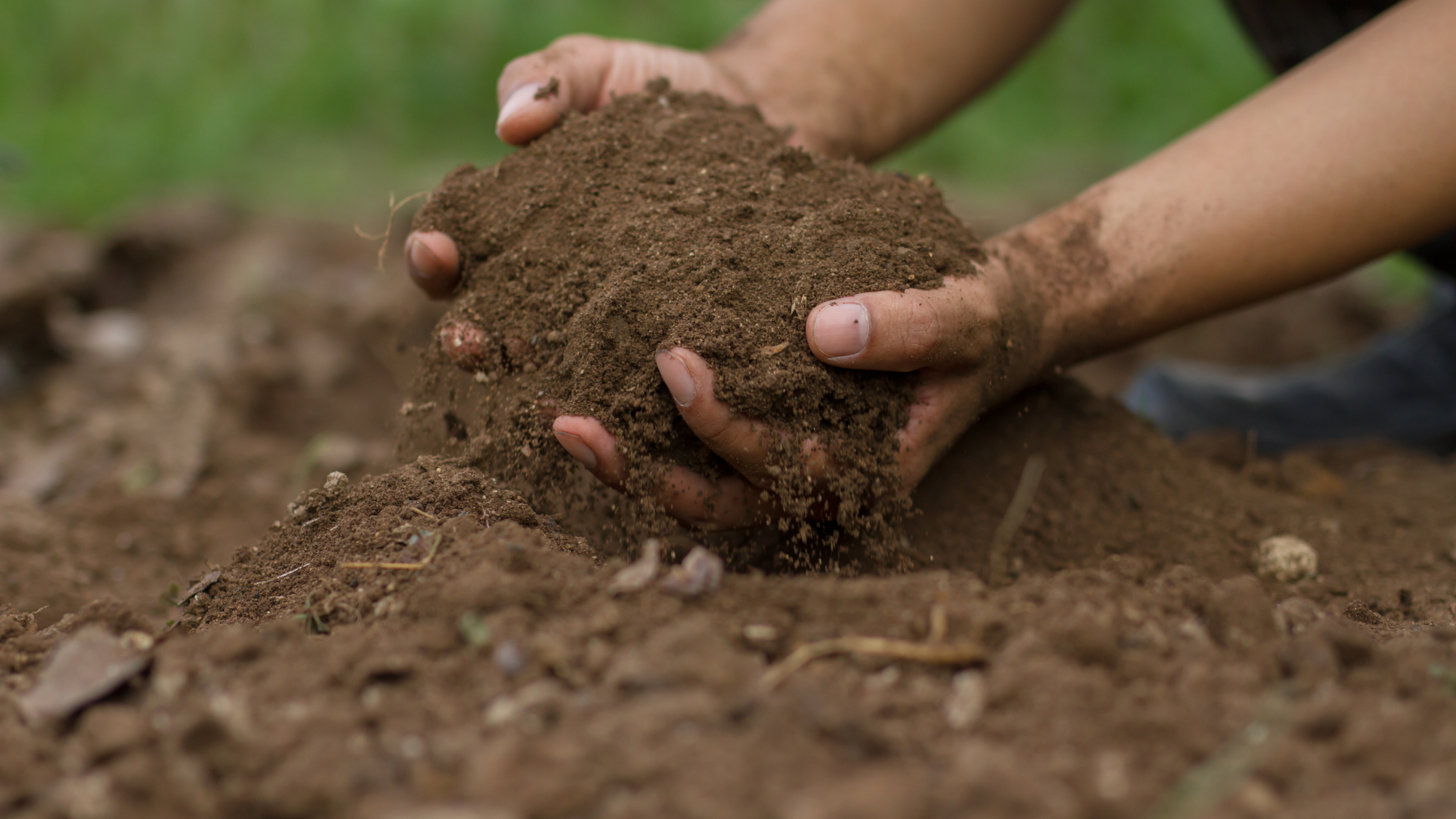 Soil monitoring program to target the Riverland
