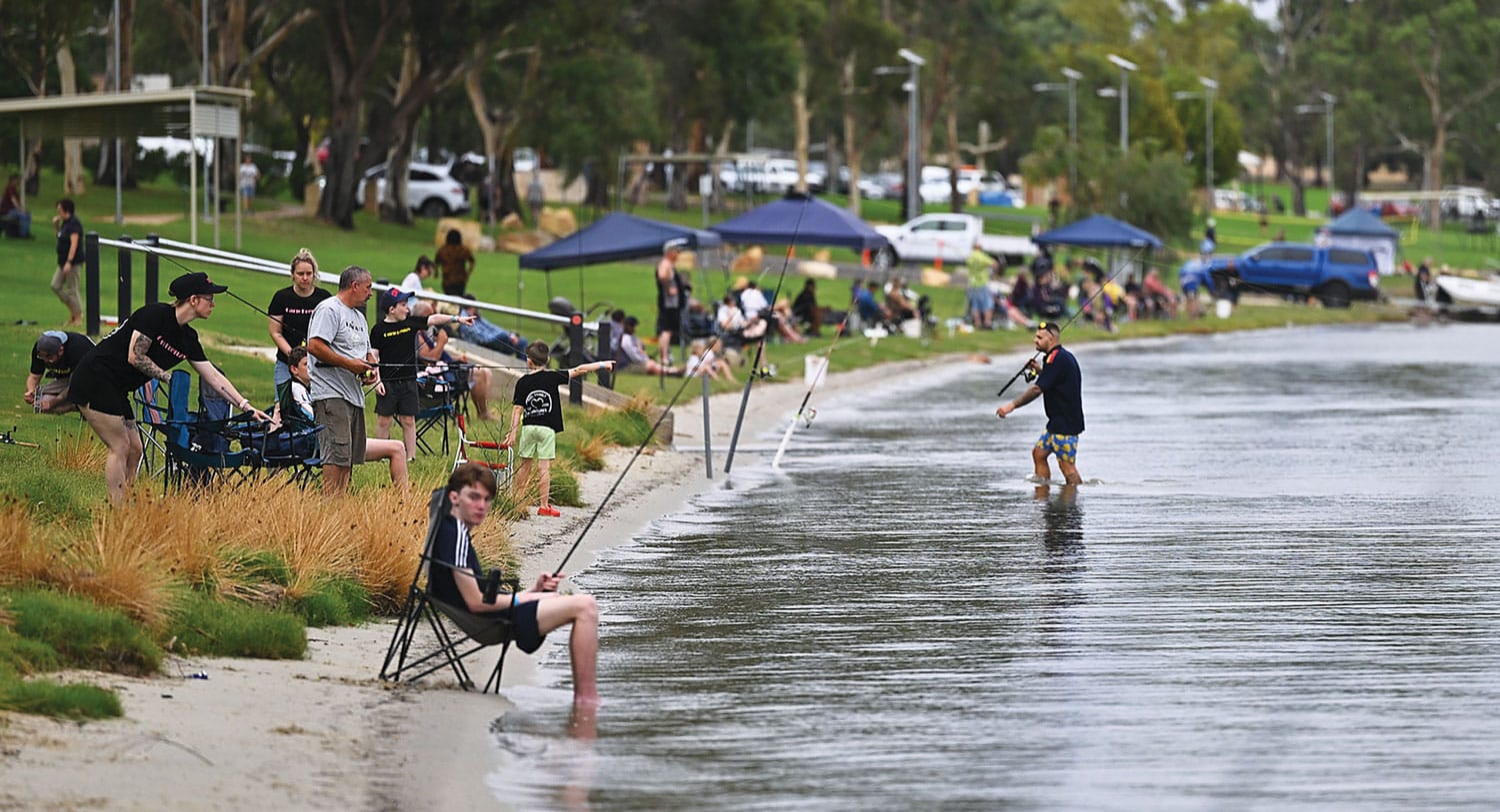 Holy carp: Barmera frenzy removes tonnes of trouble