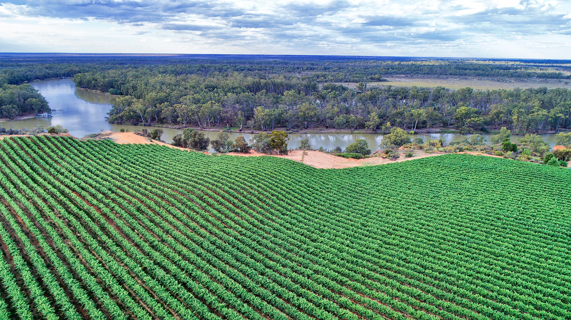 Next Crop program lands in Riverland