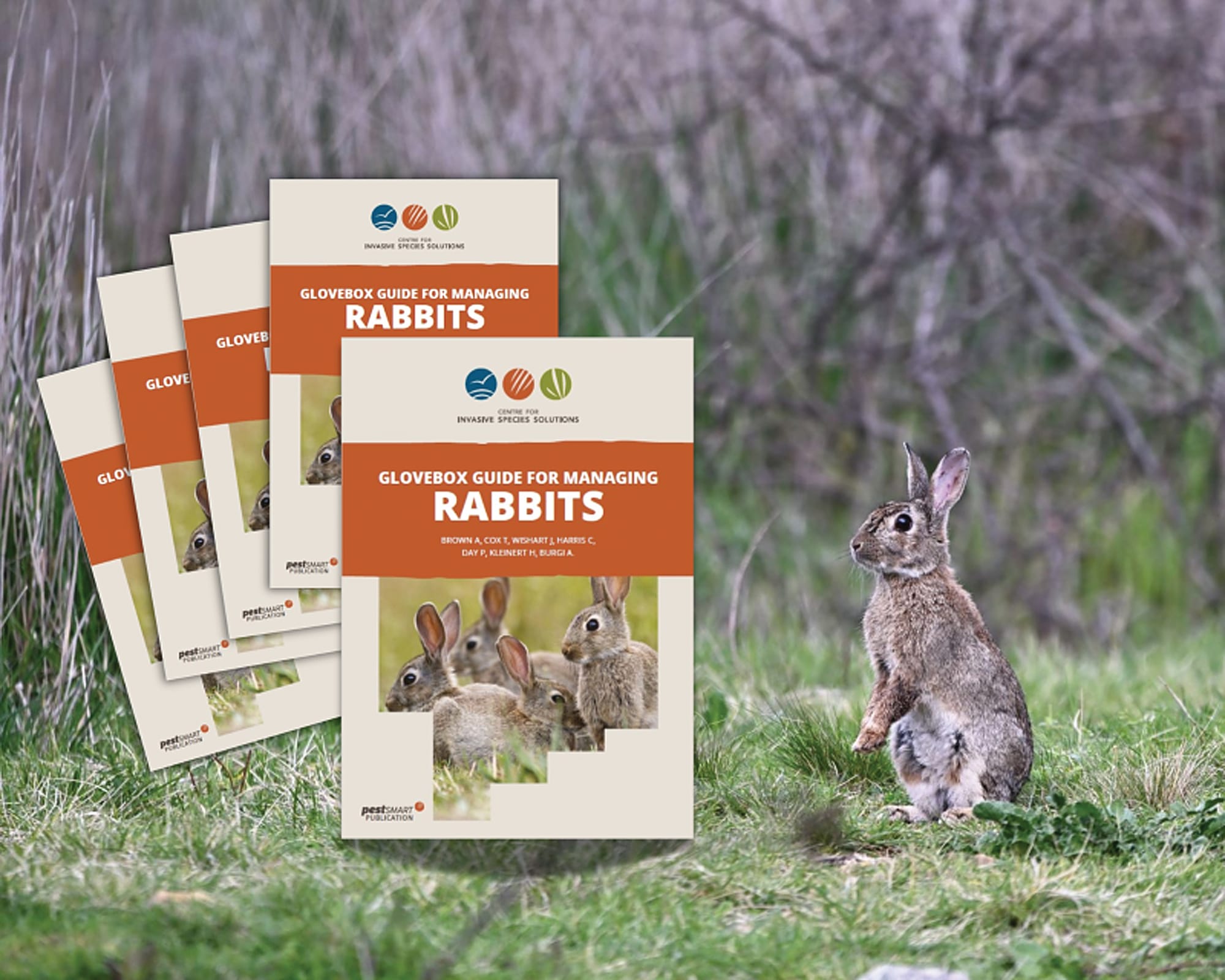 Riverland land managers get new practical Globebox Guide to manage feral rabbits