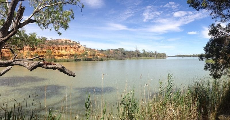 Riverland’s Murray wonderland named state’s Park of the Month