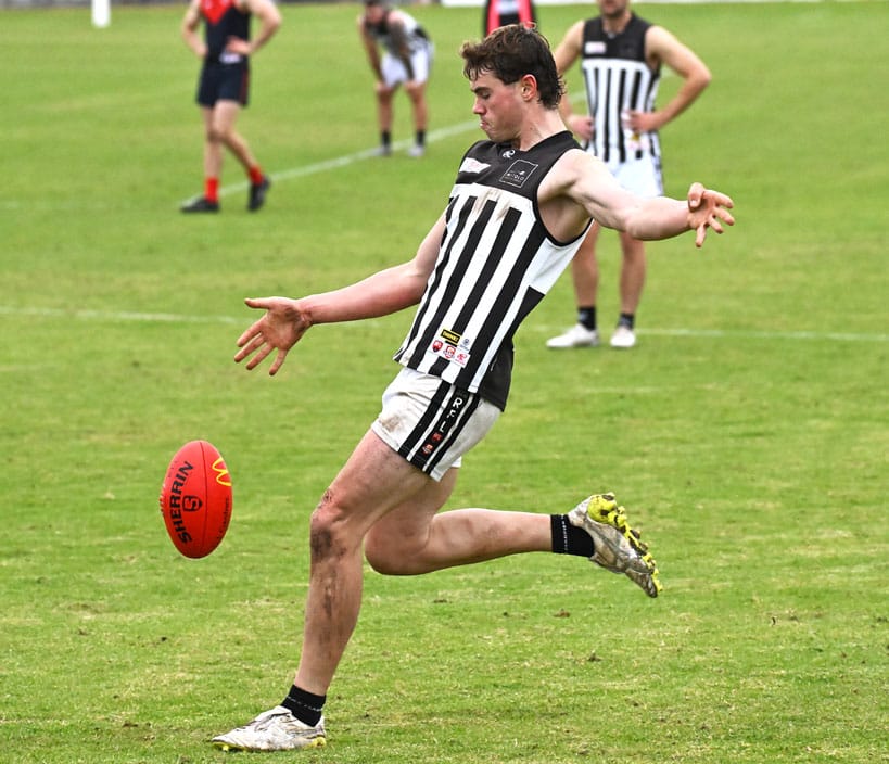 Magpies fly to the top