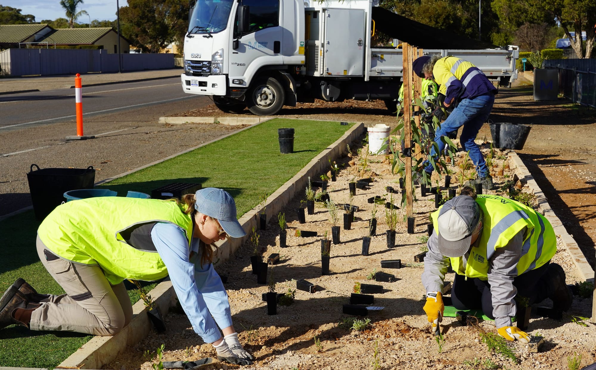 Boost to help landscape board take climate action