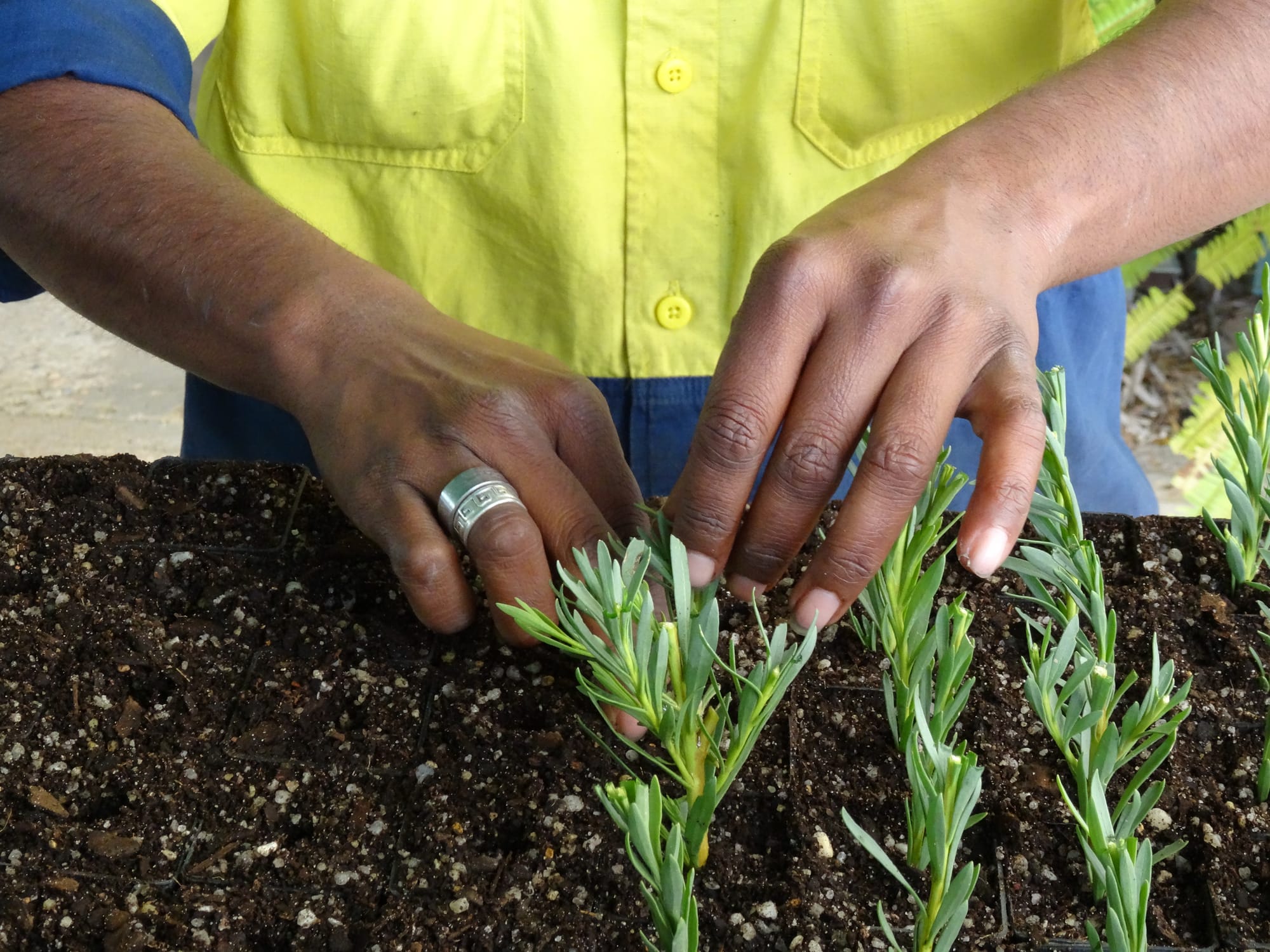 Community-led projects receive boost through Grassroots Grants initiative