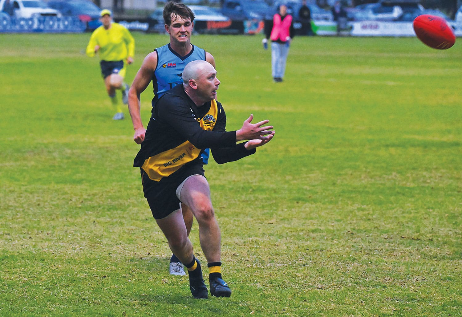 Brown in black and yellow until end of 2028