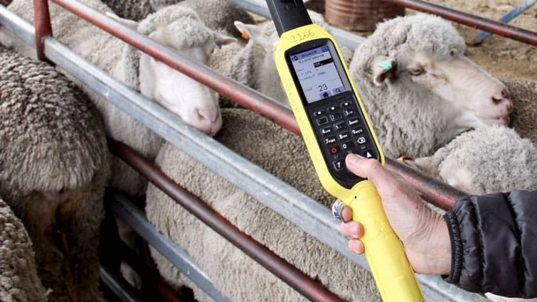 Strong eID uptake backed by new resources for producers