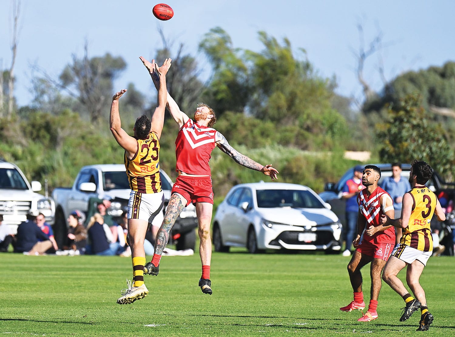 Hankin hoists cup in first year back