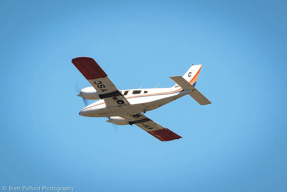 Sterile fruit fly releases ramp up as Riverland response shows progress