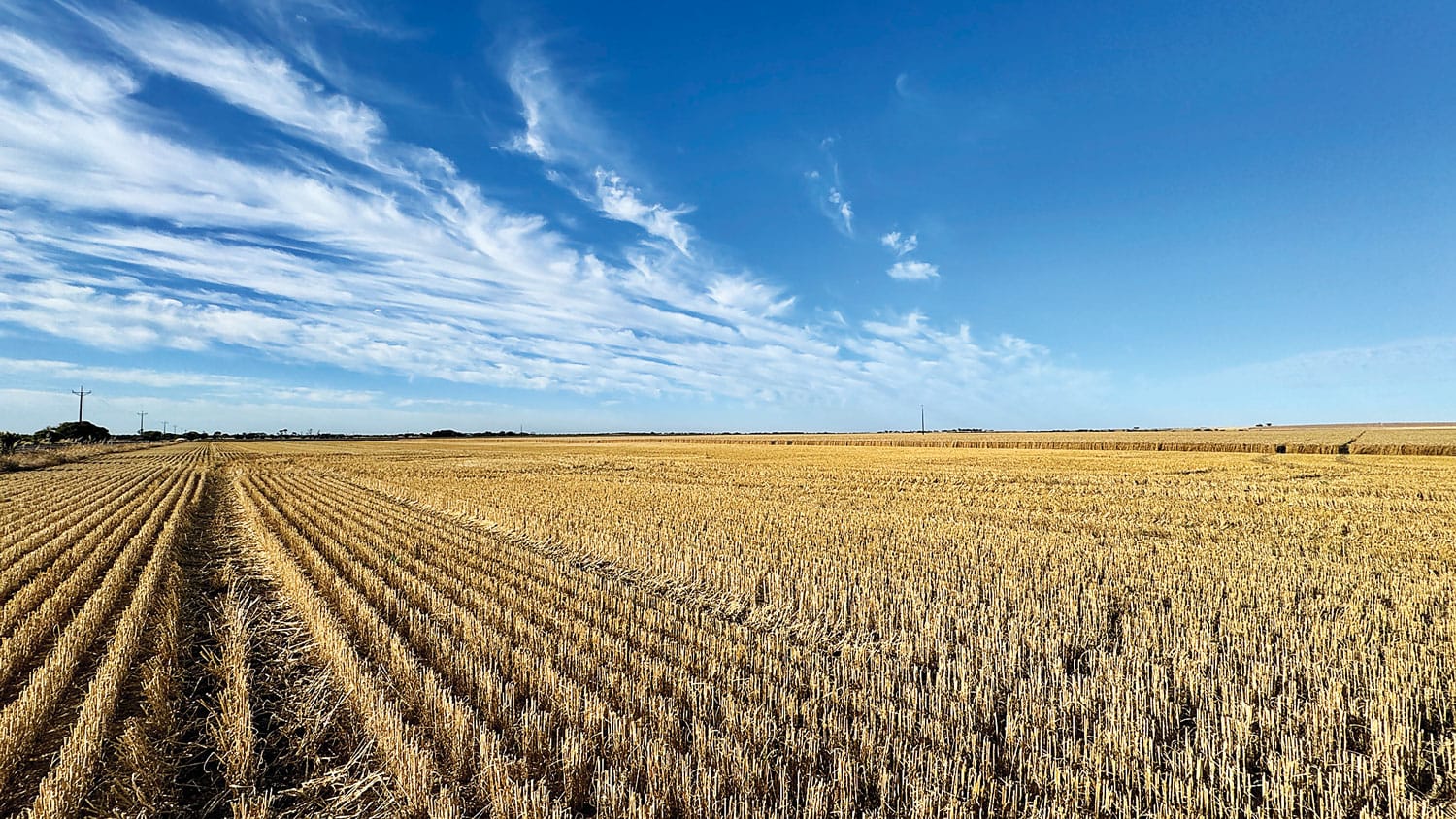 A spring spray drift reminder from PIRSA