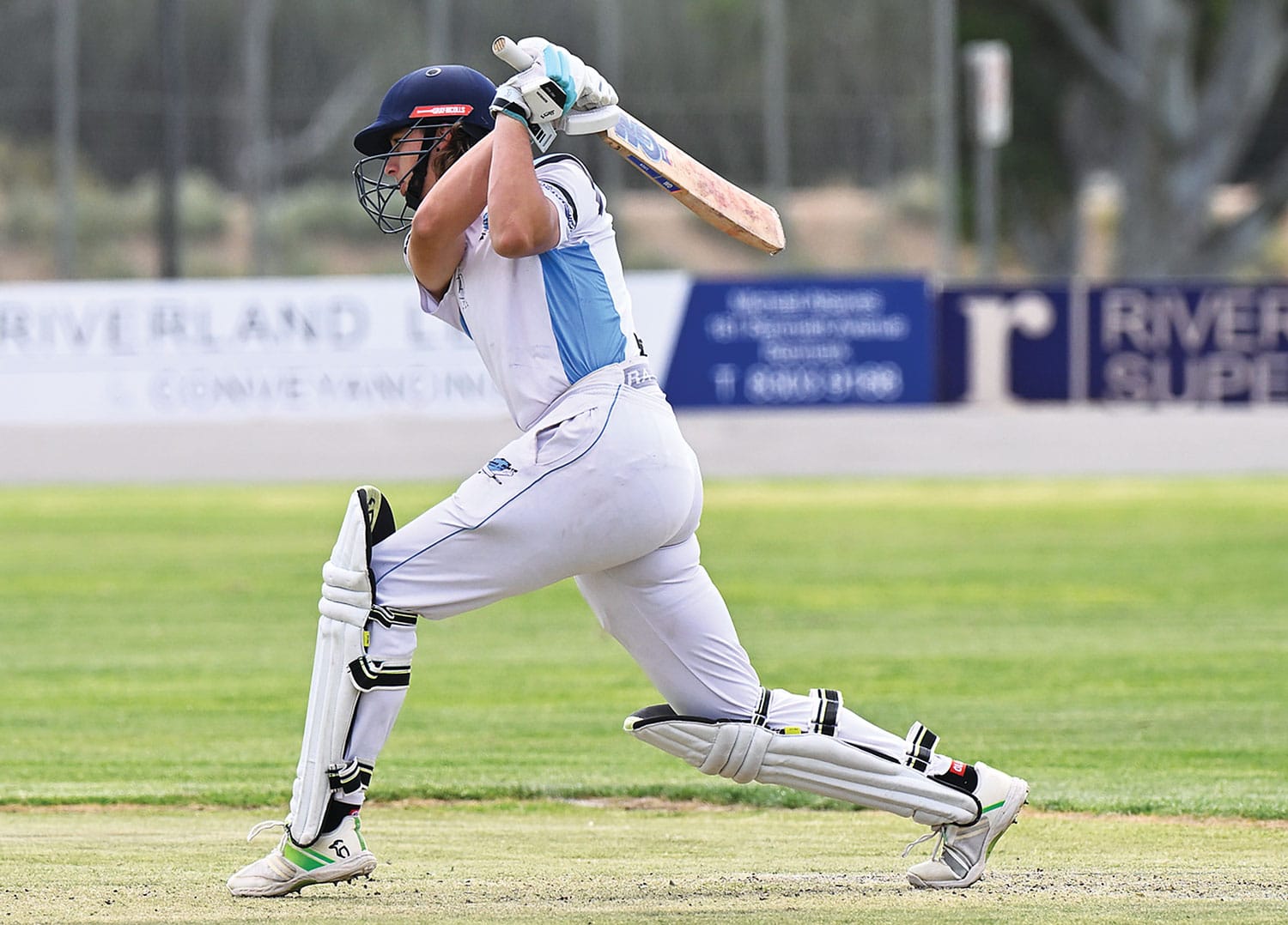 Drew guides the Bluetongues to first week win