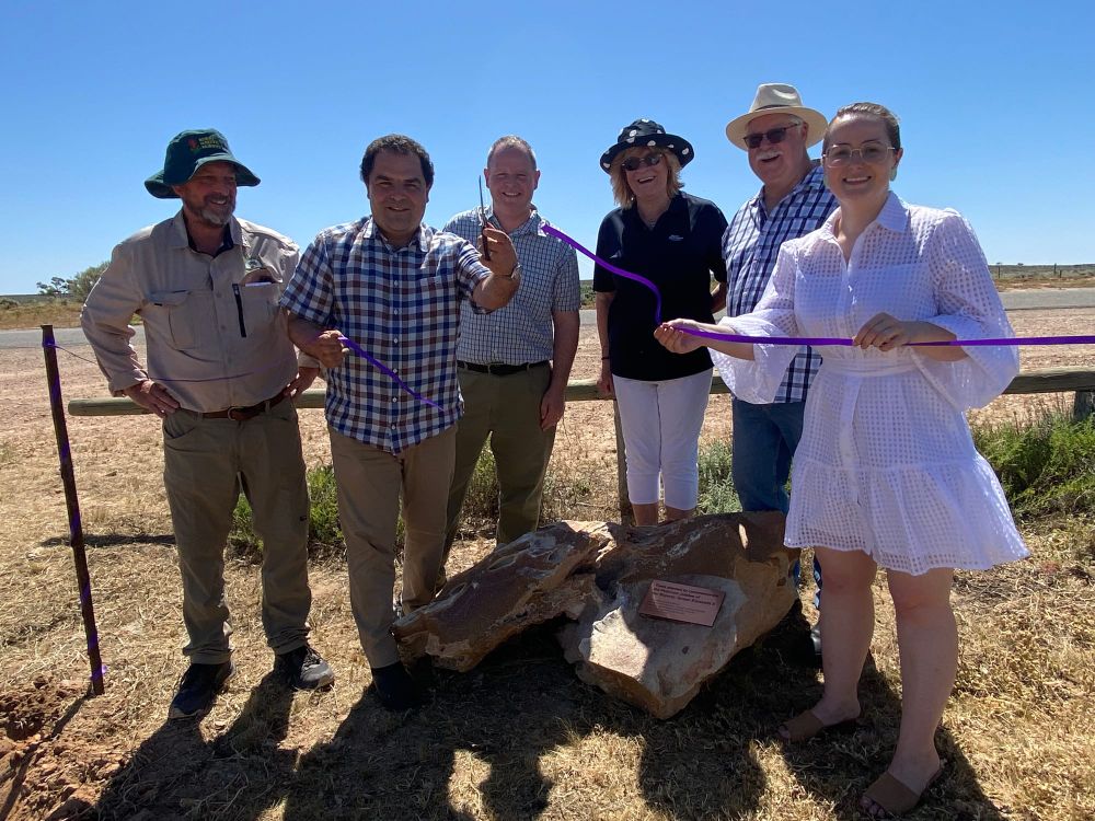 Tree-mendous tribute to Queen Elizabeth post image