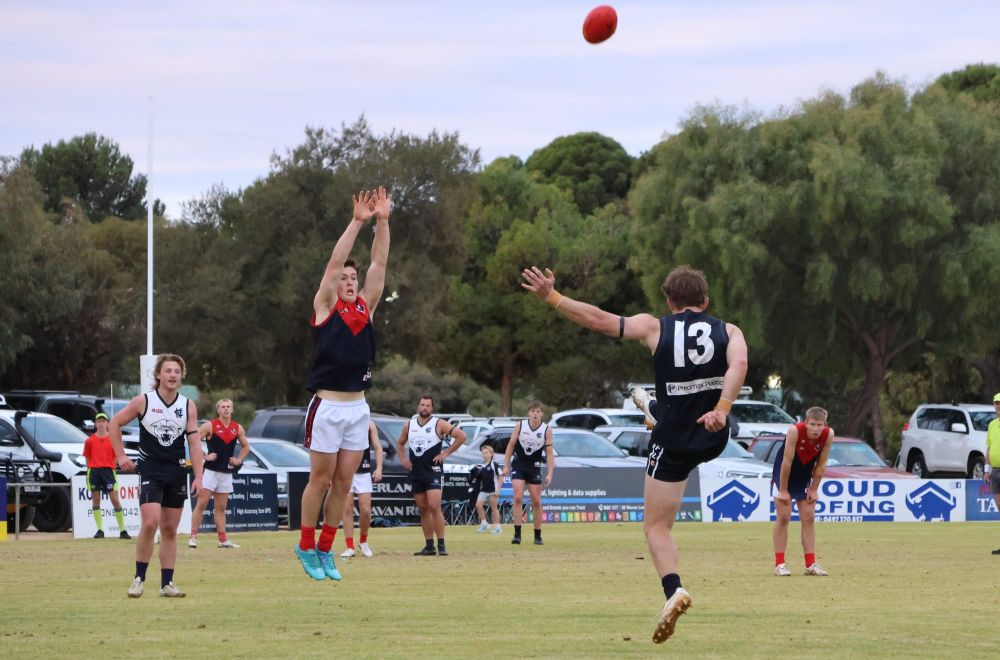 Panthers keep finals hopes alive post image
