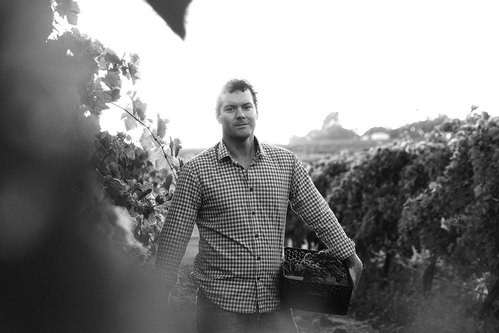 Organic award continues Angove’s recent run of success post image