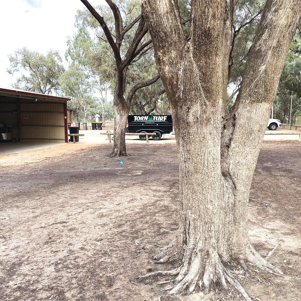 Time to grow again post image