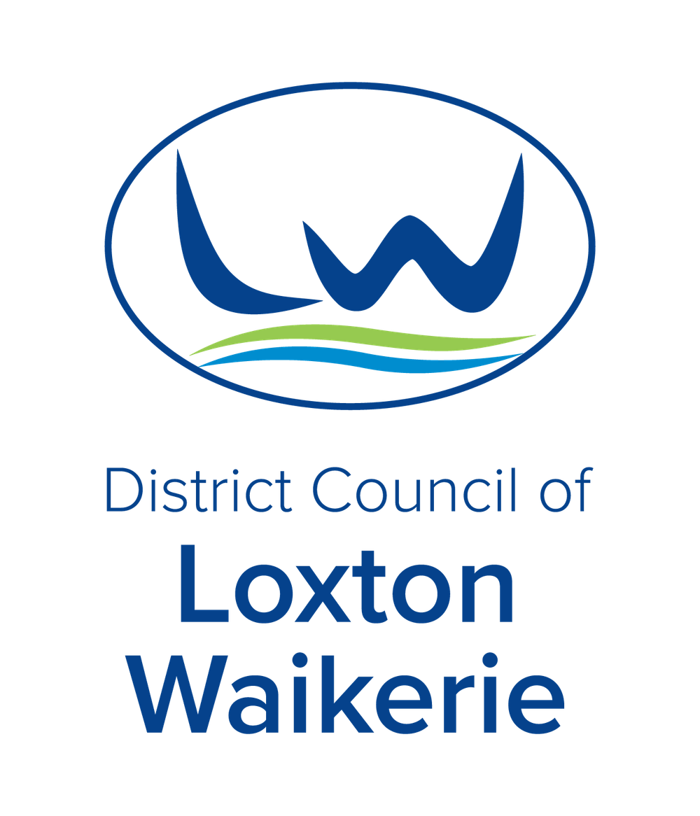 Nominate your DCLW citizen of the year post image