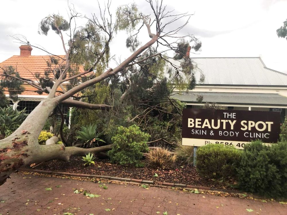 Renmark Paringa’s big clean-up post image