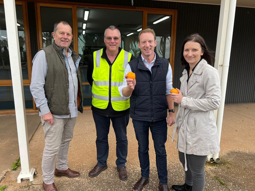 Tim defends tree-pull idea post image