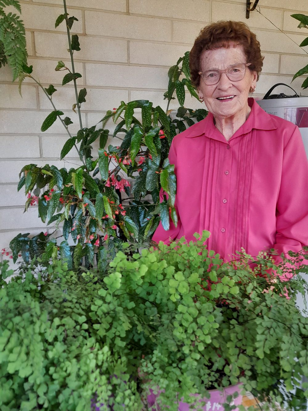 Loxton SACWA preparing for Rose festival post image