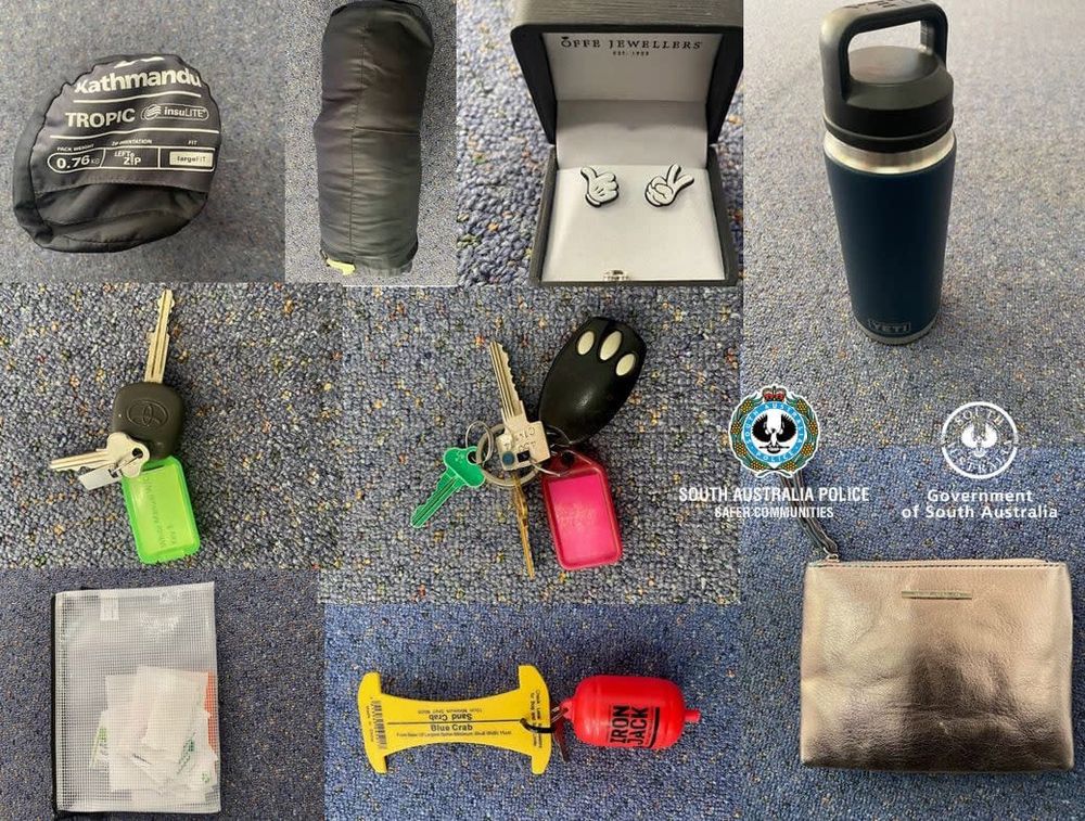 Girl, 12, among five arrested for theft post image