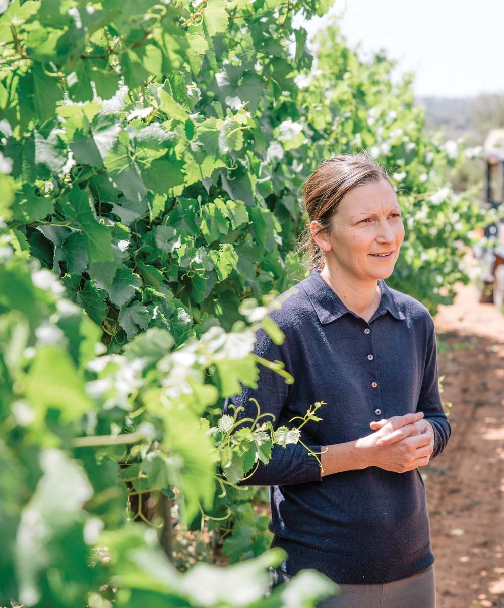 Nicola supportive of planned amendments to abortion bill post image