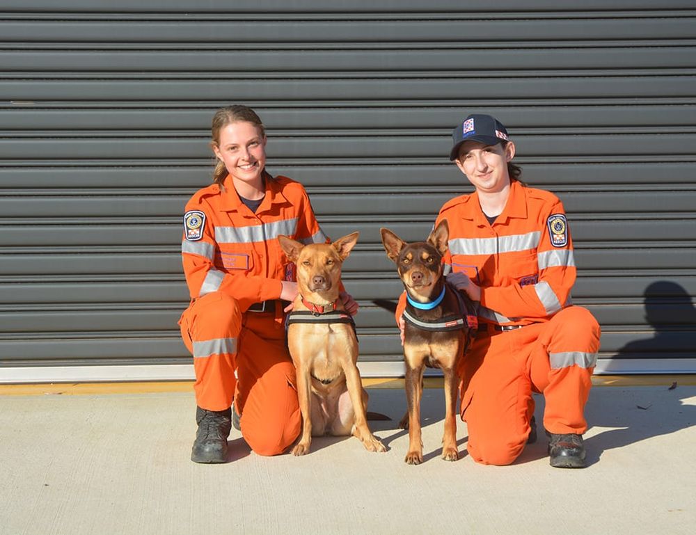 Loxton’s youngest recruits win big post image