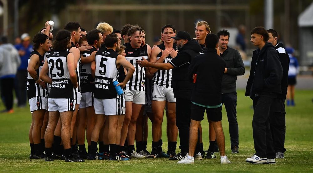 RFL mid-season report card post image