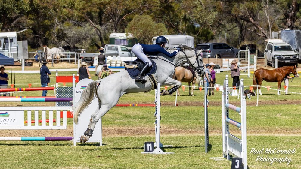Easter horse show tradition back for 2025 post image