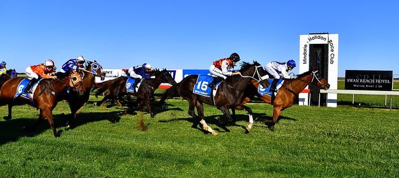 Racing club’s eye on future post image