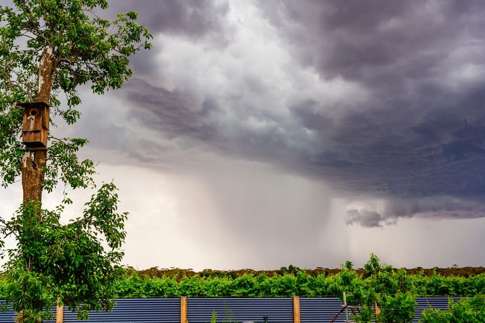More netting cash to help storm-vulnerable growers post image